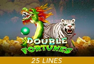 Spadegaming : Double Fortunes - IDAGENT138