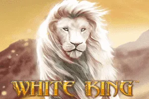 Playtech : White King - IDAGENT138
