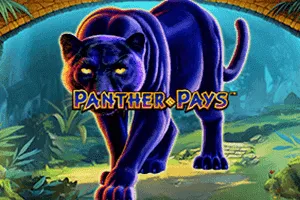 Playtech : Panther Pays - IDAGENT138