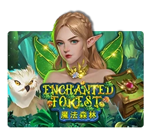 Enchanted Forest - IDAGENT138