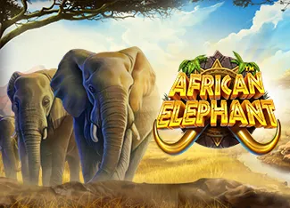 Pragmatic : African Elephant - IDAGENT138